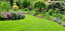 3-Tipps-fuer-die-Gartengestaltung.