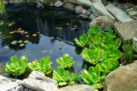 Gartenteichfolie-Wasser-im-Garten