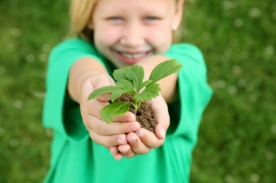 Naturfarben-zum-gruenen-Bauen