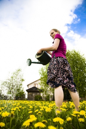 Was-der-Garten-im-Fruehjahr-zu-bieten-hat.