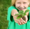 Naturfarben-zum-gruenen-Bauen