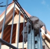 Schoener-Wohnen-nach-dem-Hausbau.